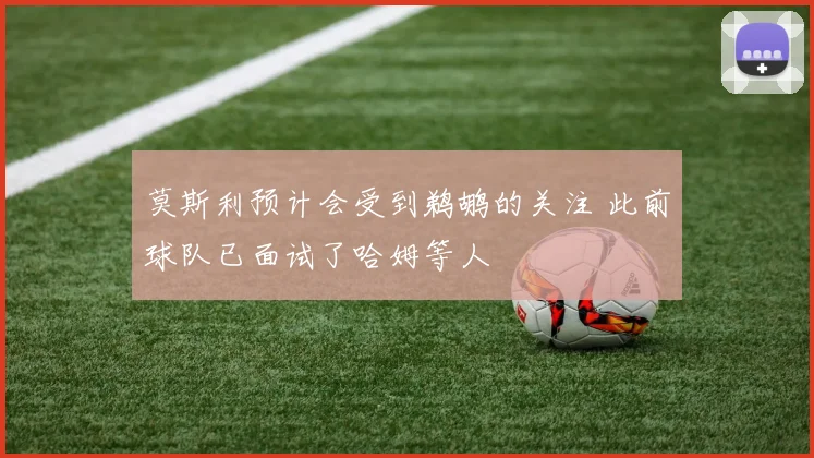 莫斯利预计会受到鹈鹕的关注 此前球队已面试了哈姆等人